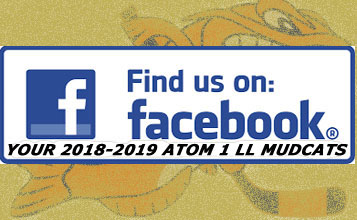 Atom 1 LL Facebook 