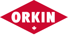 ORKIN CANADA