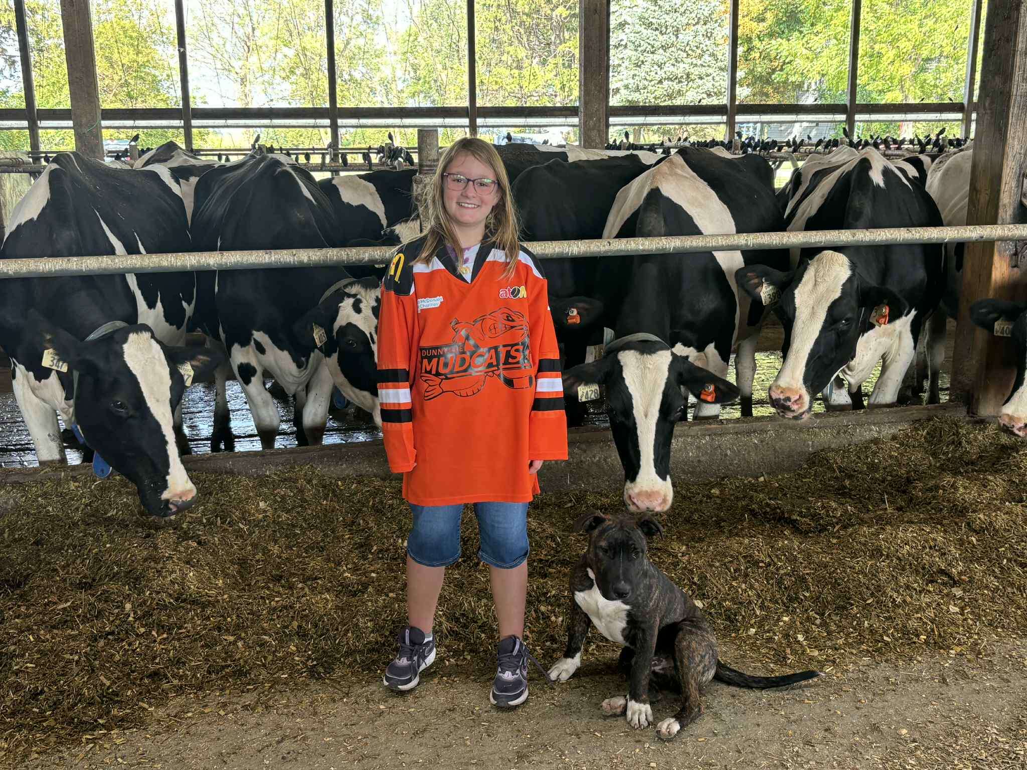 Kelly Dairy Farms LTD